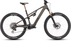 Light E-MTB