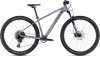 Cube Access WS SLX grey'n'silver Größe: XS